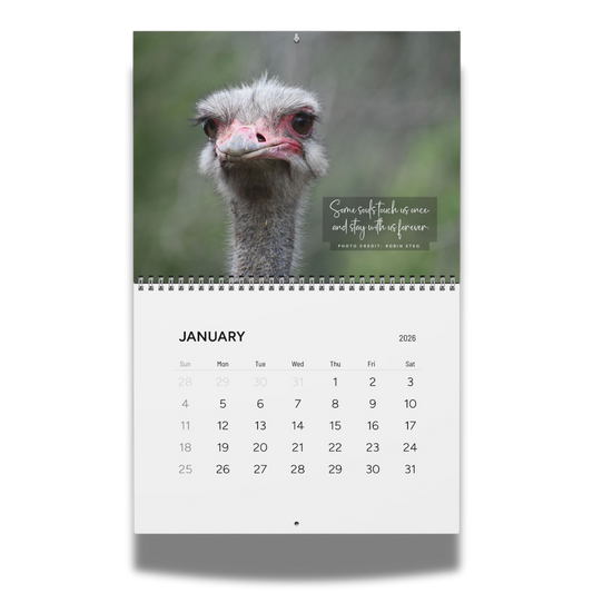 2026 Ostrich Tribute Calendar