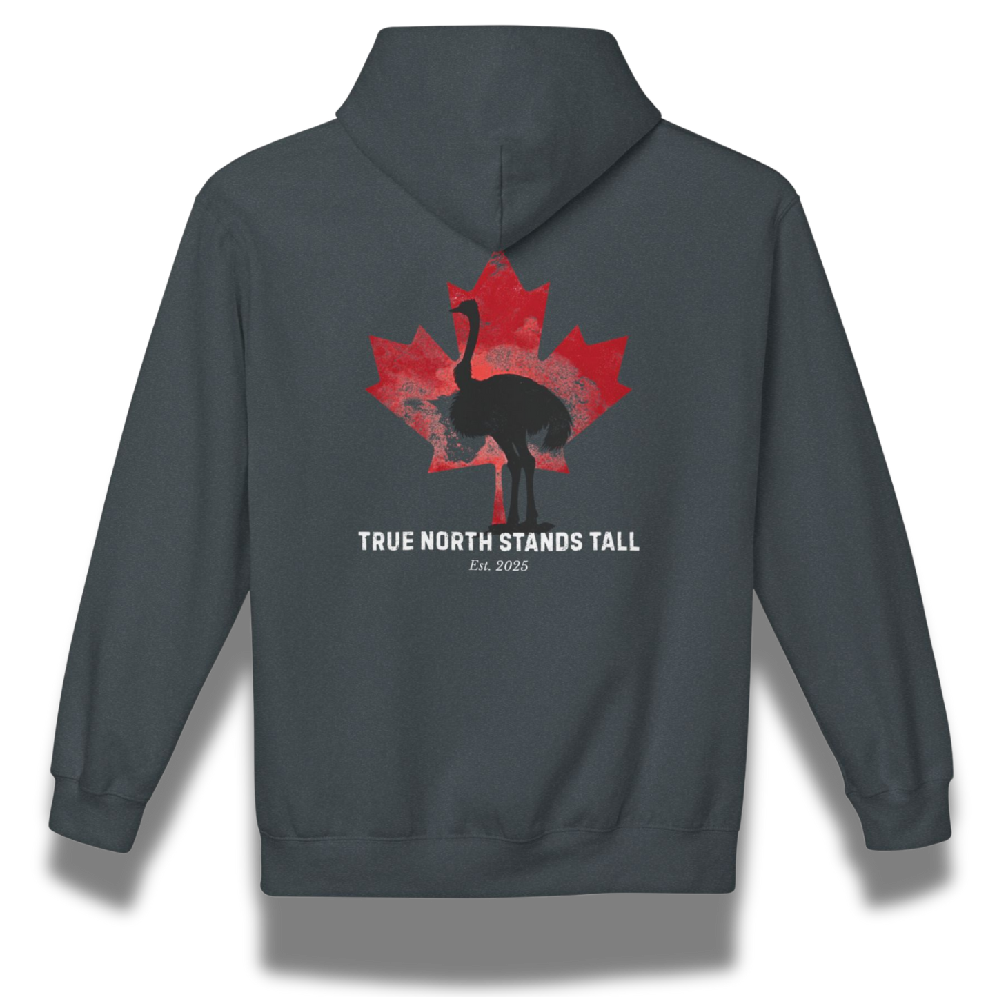 True North Stands Tall Hoodie