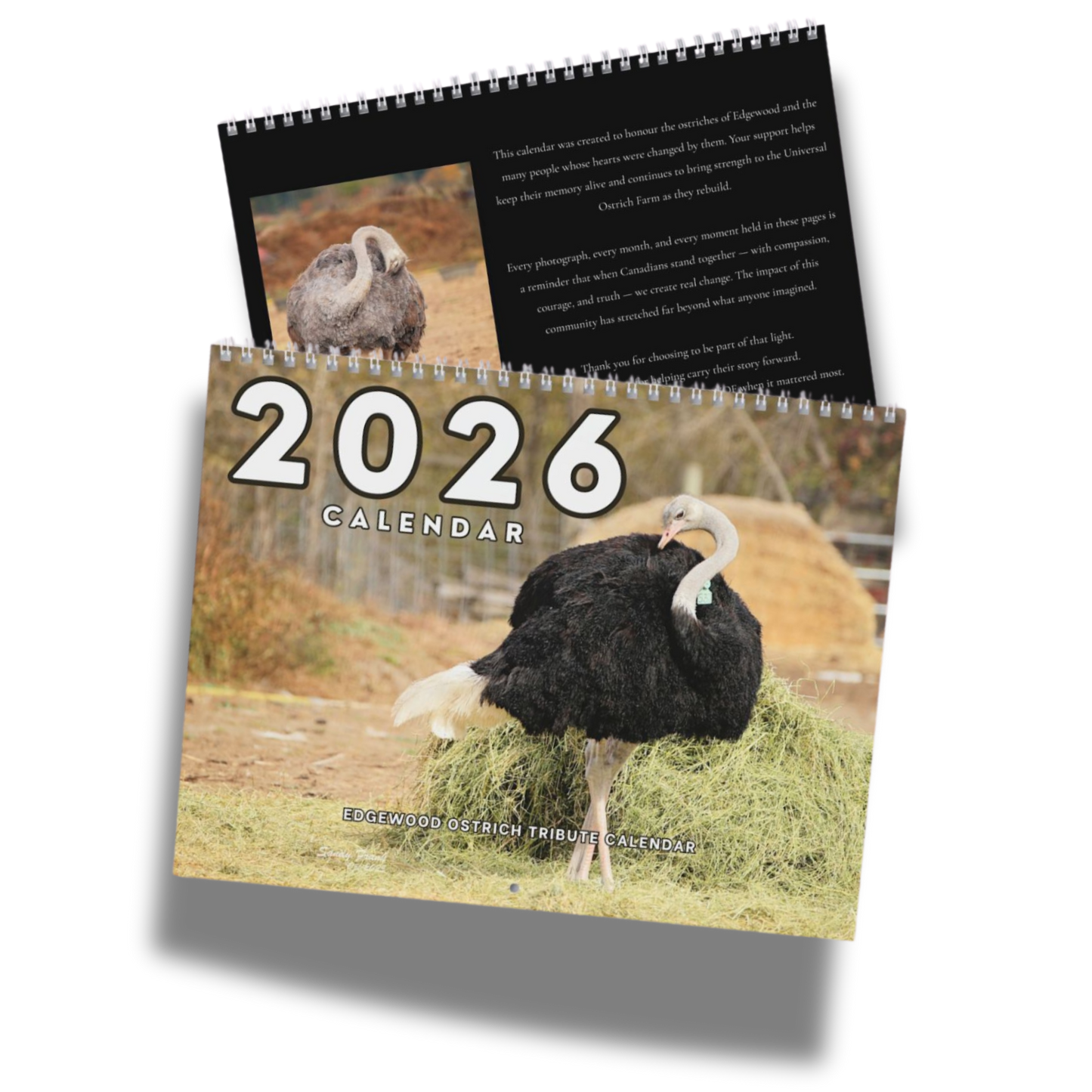 2026 calendar with ostrich images on a white background