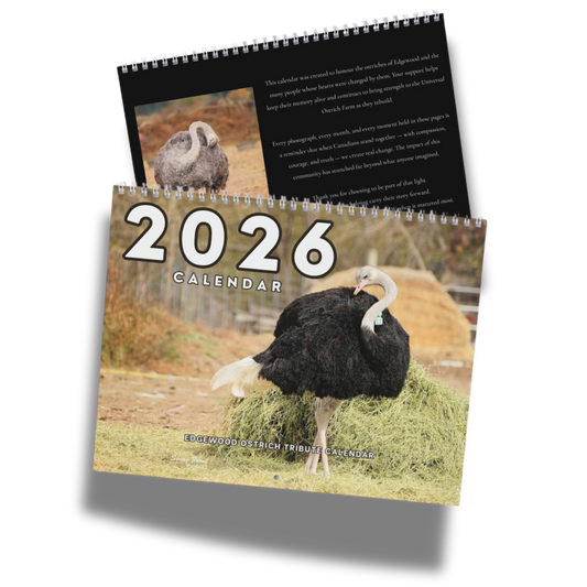 2026 calendar with ostrich images on a white background